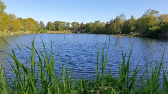 Fischersee-Forelle · Angelsee · Forellensee · Sommer Öffnungszeiten